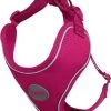 DDOXX Hondenharnas, Reflecterend, Verstelbaar, Breakaway | Borstharnas Voor Klein, Middelgroot | Hondenharnas Hond Kat Puppy Auto | Kattenharnas Puppy Harnas | Roze Roze, S