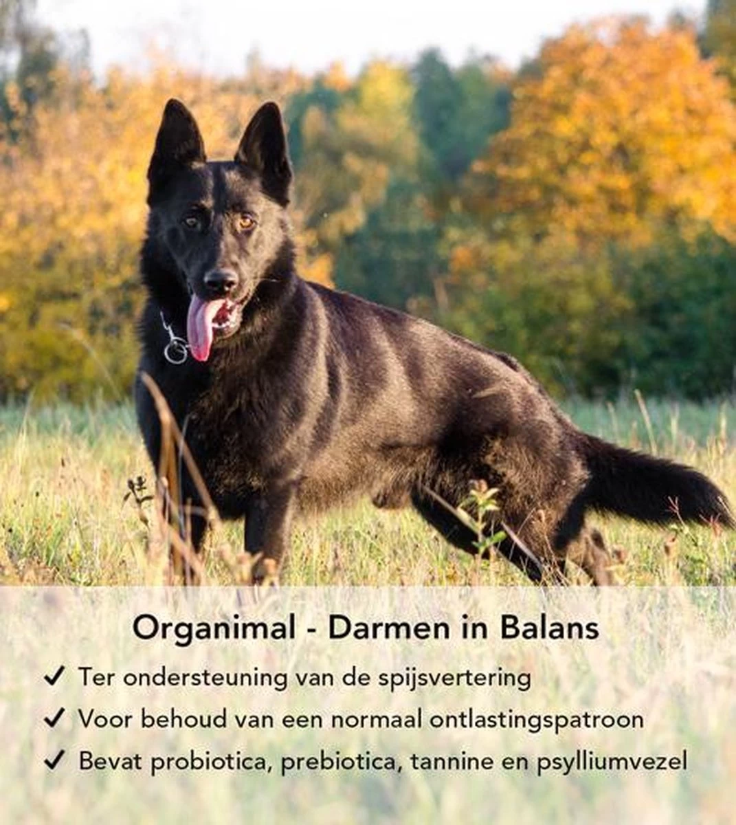 Darmen In Balans - Hond (tot 30 Kg) - Bevat Probiotica - Bij O.a. Diarree - 45 Tabletten A 700mg - Afbeelding 2