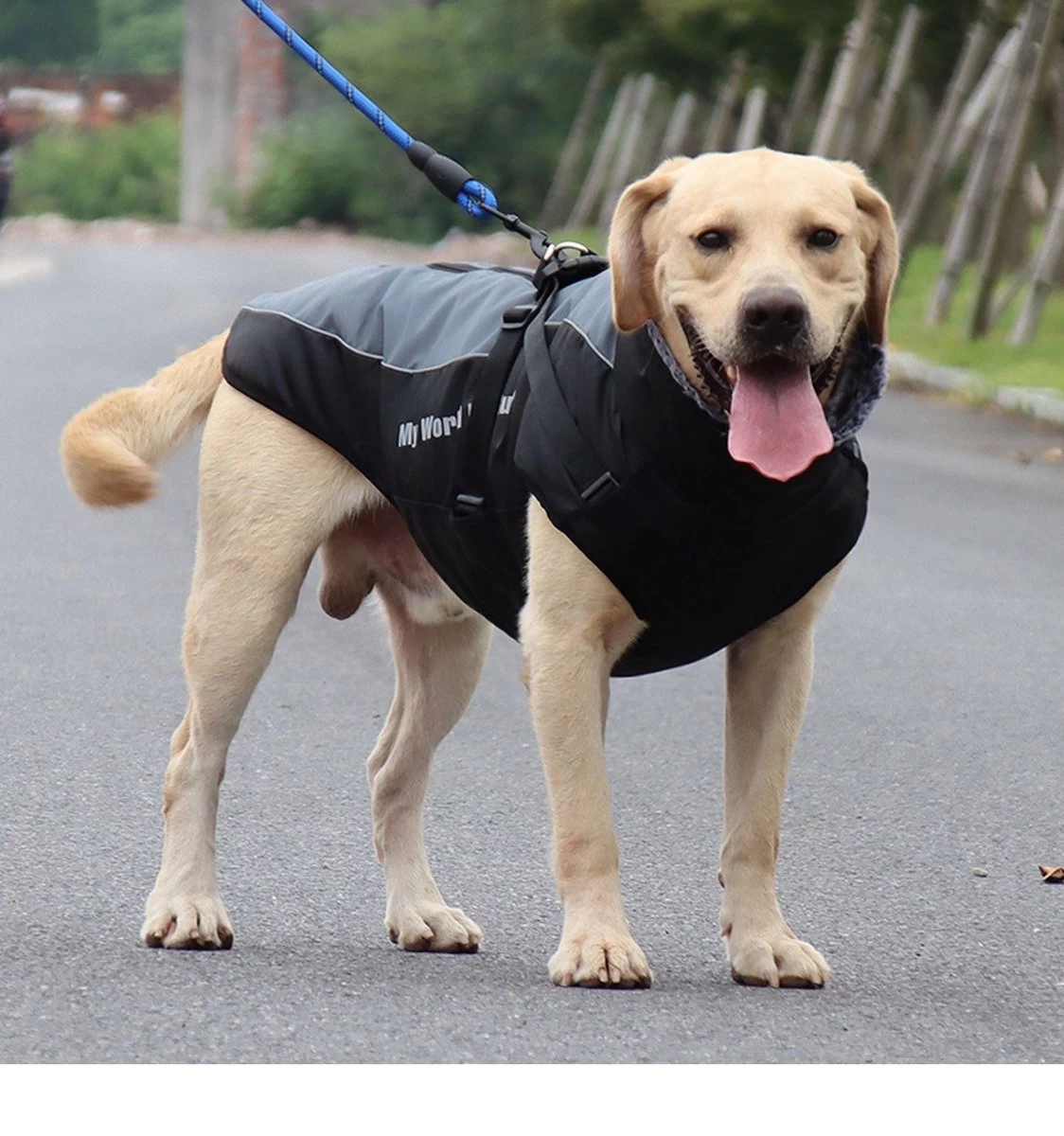 Nixnix - Honden Jas - Maat XXL - Hondenjas - Kleine Hond - Grote Hond - Waterafstotend - Gevoerd Met Rits - Warme Hondenjas - Afbeelding 5
