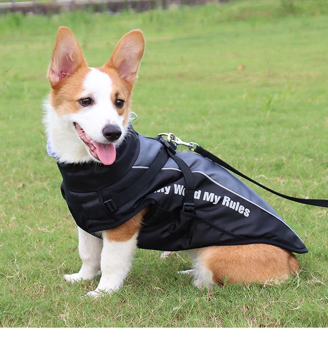 Nixnix - Honden Jas - Maat XXL - Hondenjas - Kleine Hond - Grote Hond - Waterafstotend - Gevoerd Met Rits - Warme Hondenjas - Afbeelding 8