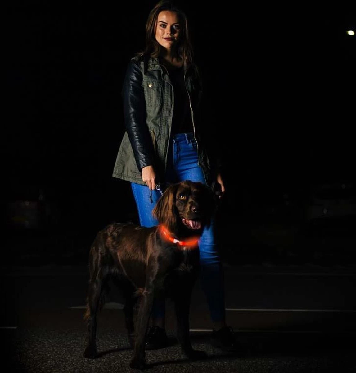 Led Dog Band USB | BEE SAFE -BLUE- | Dier Verlichting | Hondenband LED - Afbeelding 4