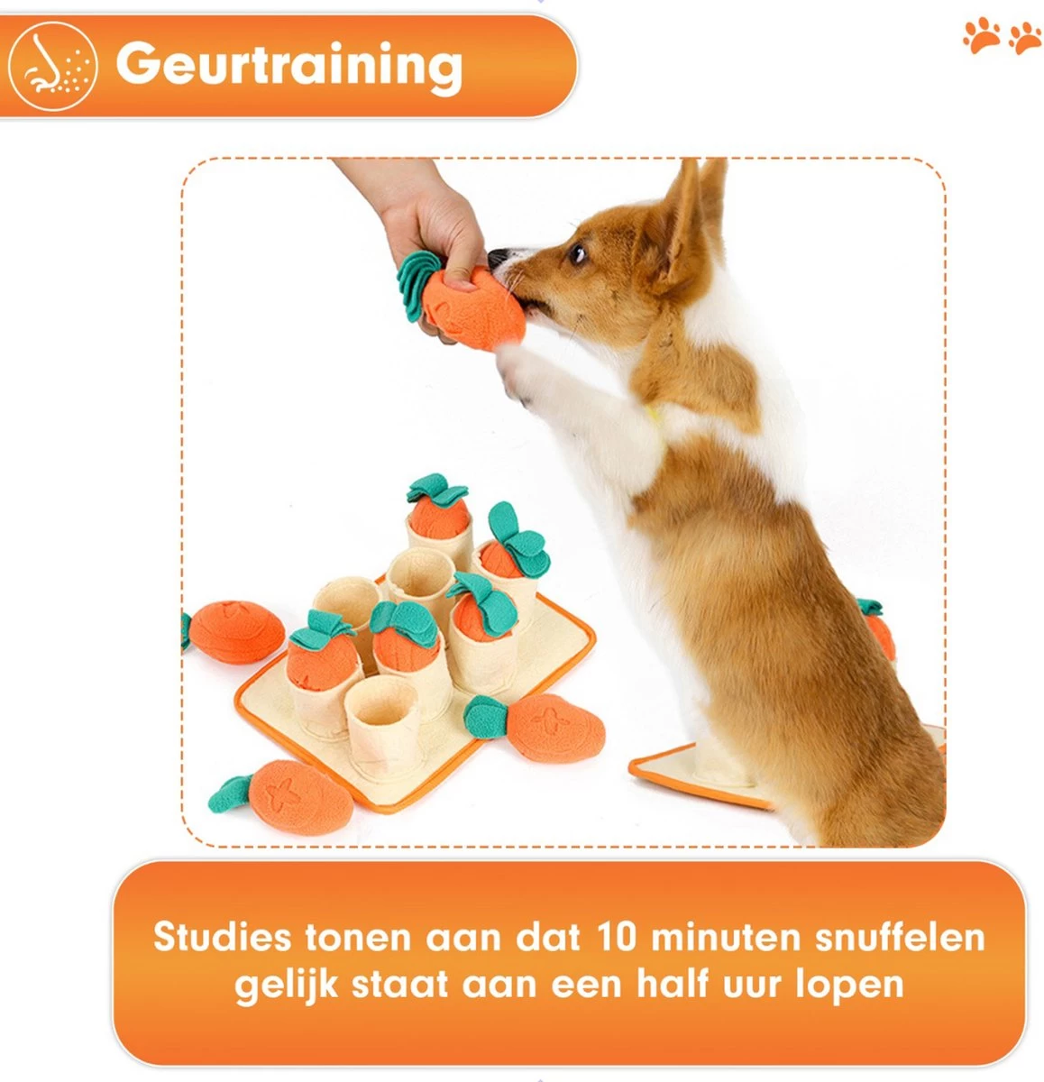 Premium Snuffelmat Voor Hond En Kat - Intelligentie Speelgoed - Snuffel Mat Puppy - IQ Hondenspeeltjes - Educatieve Training Huisdier - Snuffeltrainer Hondenpuzzel - Educatief Speelgoed - Vetalo - Afbeelding 2