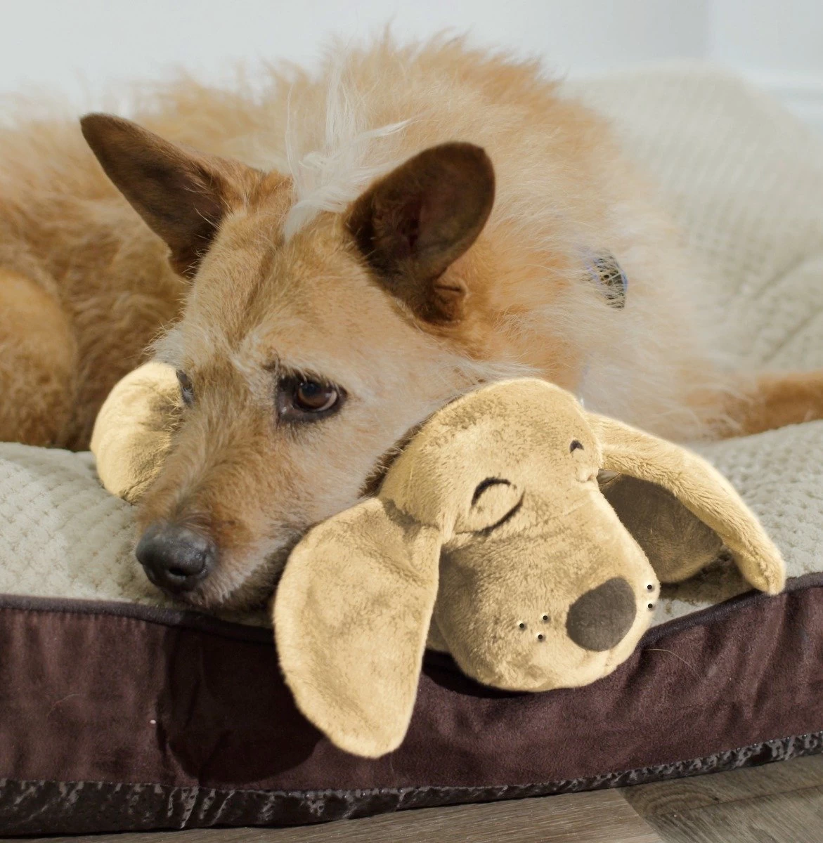 HuggiePup, Hartslagknuffel - Knuffelhond Met Hartslag En Warmhoud Zakje – Warmte Knuffel – Puppy Knuffel – Puppyknuffel Met Hartslag – Snuggle Puppy - Heartbeat - Afbeelding 2