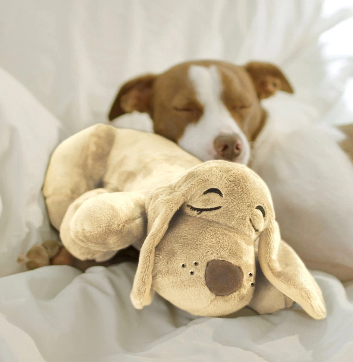 HuggiePup, Hartslagknuffel - Knuffelhond Met Hartslag En Warmhoud Zakje – Warmte Knuffel – Puppy Knuffel – Puppyknuffel Met Hartslag – Snuggle Puppy - Heartbeat - Afbeelding 5