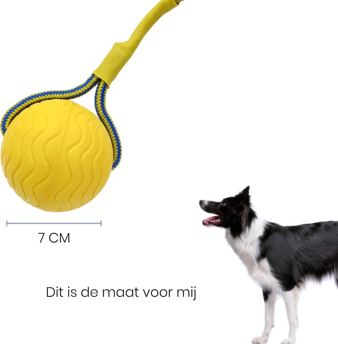 Leashr Honden Speelgoed - Bal Aan Touw - 2 Stuks - Touw - Koord - Kauwspeelgoed - Apporteer - Hond - 7 CM - Afbeelding 5