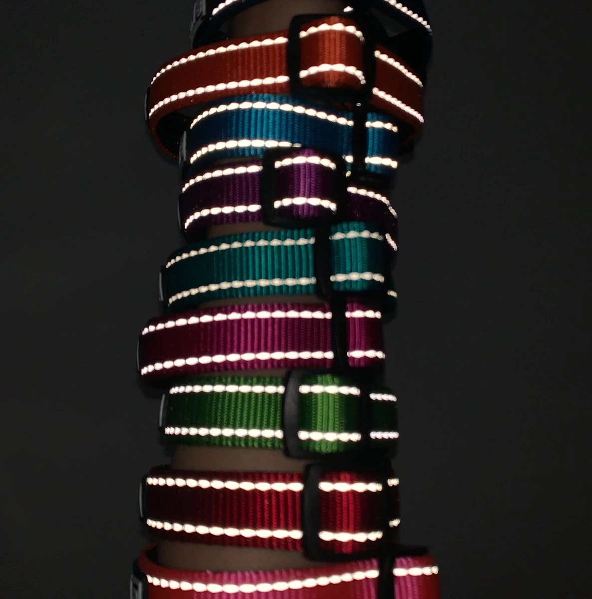 Halsband Hond - Reflecterend - Zwart - Maat M - Oersterk - Waterdicht - Hondenhalsband - Met Veiligheidssluiting - Geschikt Voor Iedere Hondenriem - Voor Middelgrote Honden - Afbeelding 9