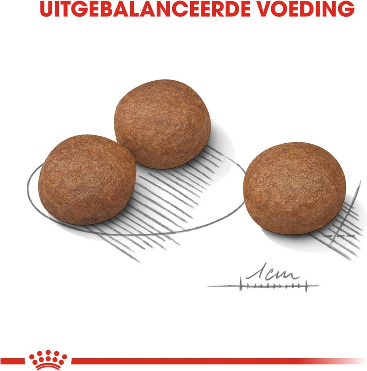 Royal Canin Digestive Care Medium - Hondenvoer - 12 Kg - Afbeelding 3