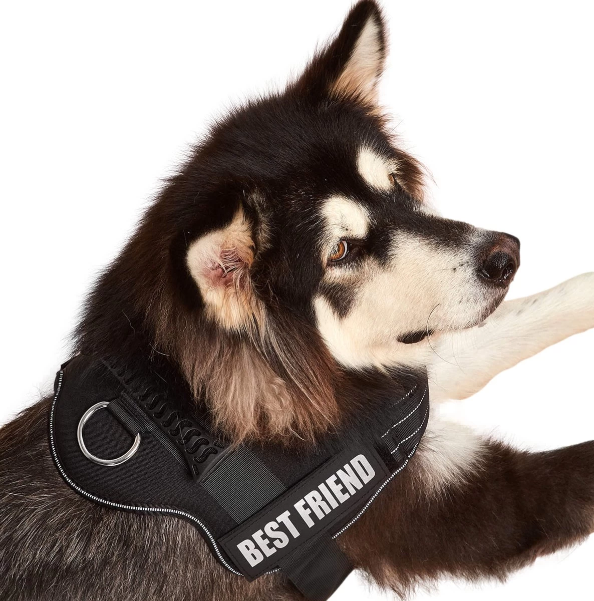 Woofy Hondentuig - Anti Trek - Hondenharnas - Reflecterend - Verstelbaar - Afbeelding 5