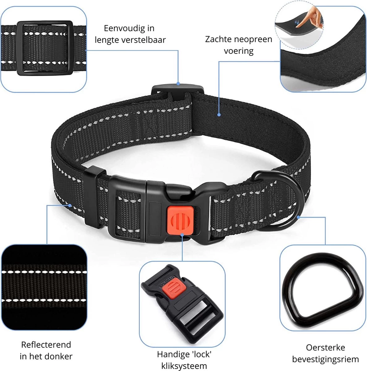 Halsband Hond - Reflecterend - Zwart - Maat M - Oersterk - Waterdicht - Hondenhalsband - Met Veiligheidssluiting - Geschikt Voor Iedere Hondenriem - Voor Middelgrote Honden - Afbeelding 2