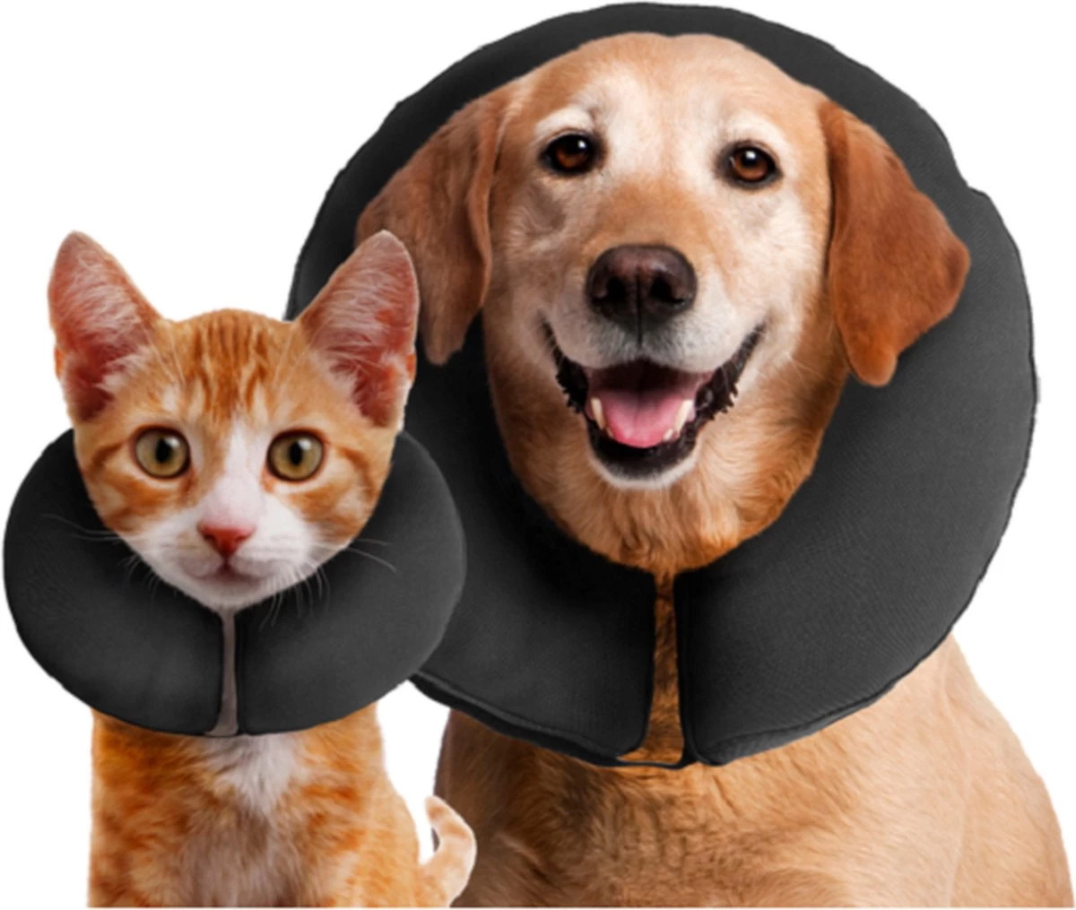 Zenpet ProCollar Hondenkraag XL – Hondenkraag – Beschermkraag Hond – Hondenkap Na Operaties – Zwart – Nek Omtrek 40.6 Tot 55.9cm - Afbeelding 2