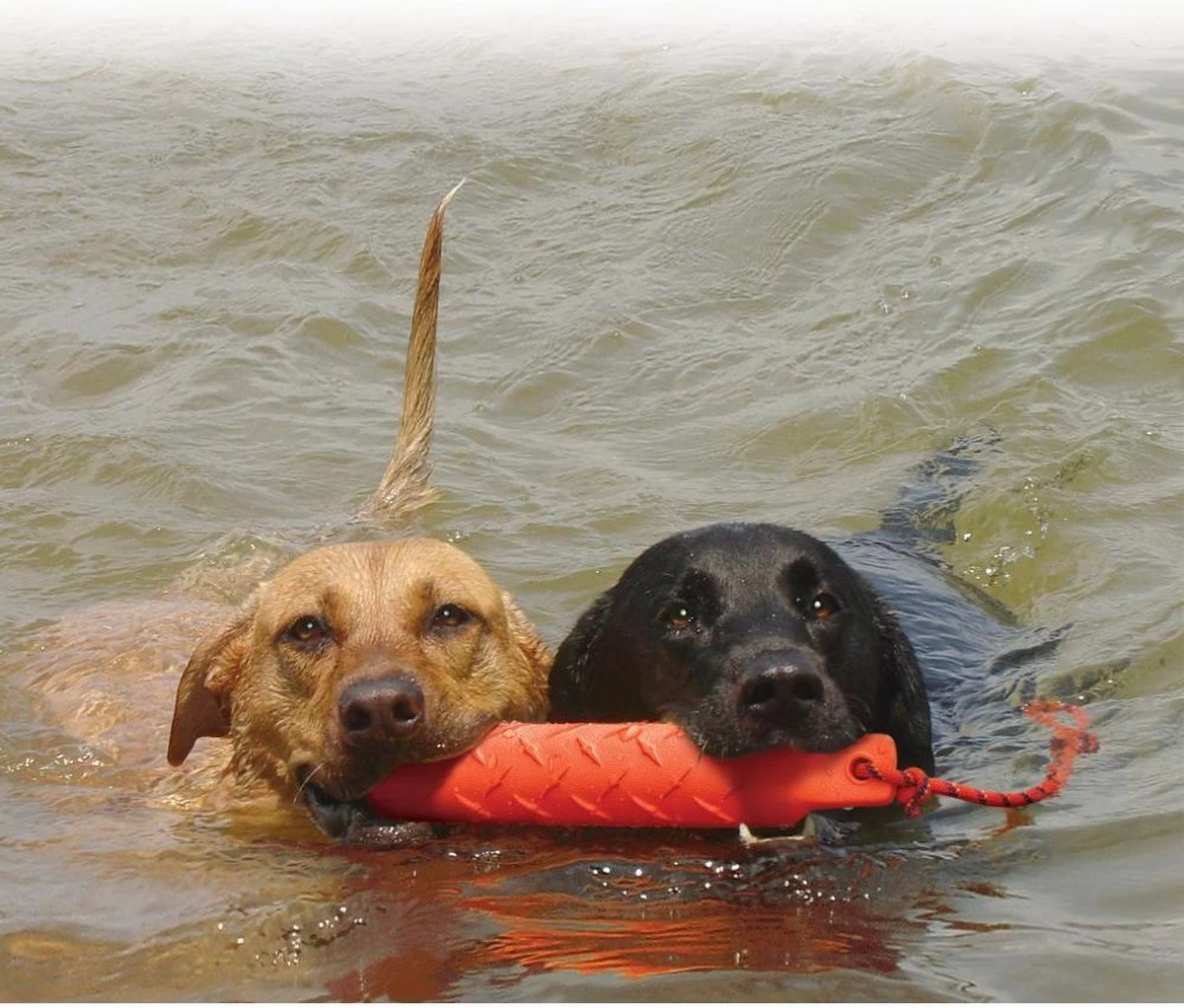 Kong Training Dummy - Hondenspeelgoed - Oranje - L - 27 Cm - Afbeelding 4