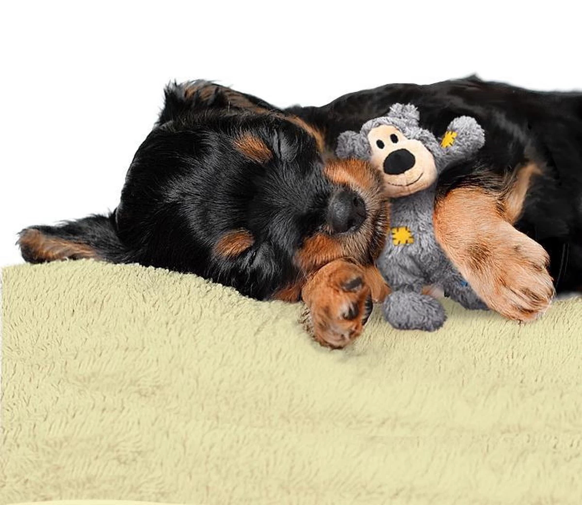 Kong Wild Knots Beer - Hondenspeelgoed - Assorti - M - 25 X 20 X 10 Cm - Afbeelding 4