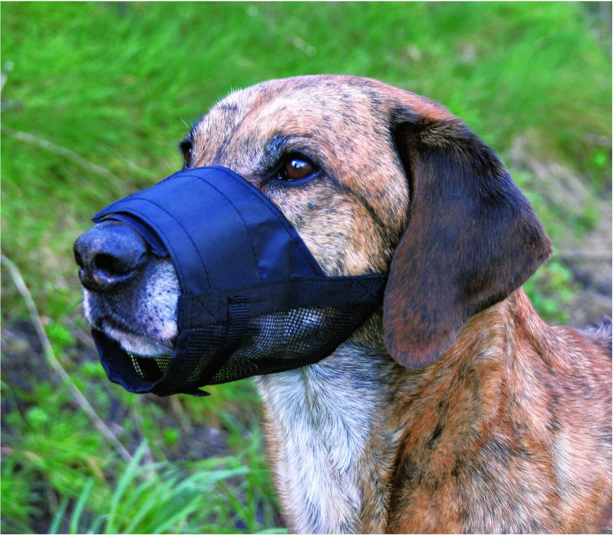 Trixie Muilkorf Polyester Met Gaas Inzet Zwart (M 19-26 CM) - Afbeelding 2