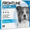 Frontline Spot-On M Anti Vlooienmiddel - Hond - 10 Tot 20 Kg - 6 Pipetten