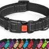 Halsband Hond - Reflecterend - Zwart - Maat M - Oersterk - Waterdicht - Hondenhalsband - Met Veiligheidssluiting - Geschikt Voor Iedere Hondenriem - Voor Middelgrote Honden