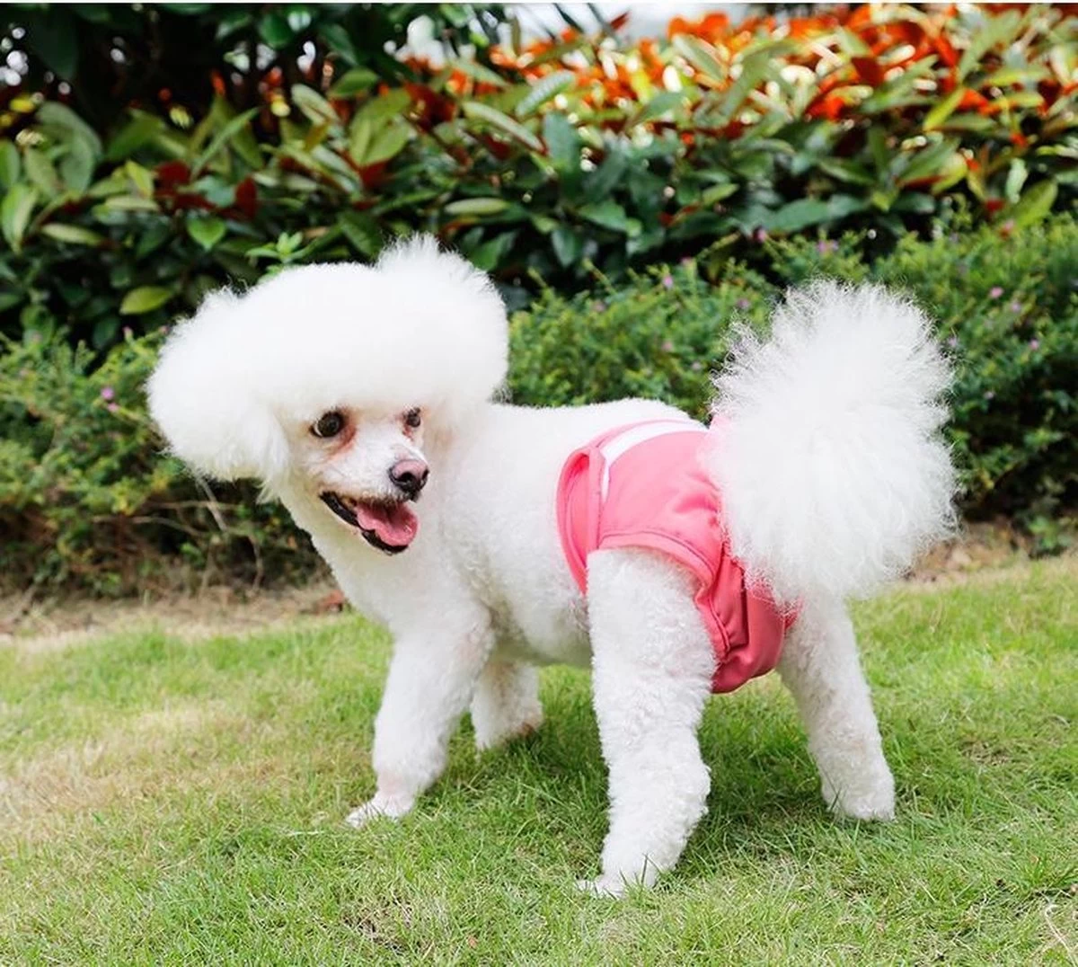 Loopsheidbroekje Hond - Roze - Maat XS - Hondenbroekje - Loopsheid Teef - Hondenluier - Wasbaar - Afbeelding 4