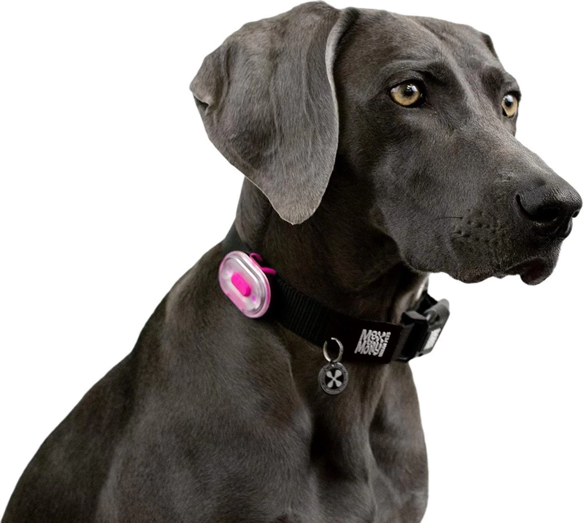 Max & Molly Matrix Ultra Led Honden Veiligheidslicht - Dierenlampje - Zwart - Afbeelding 3