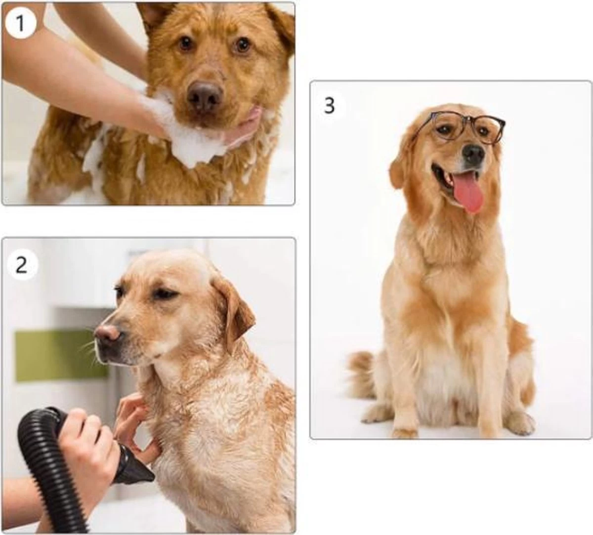 Waterblazer Hond - Hondendroger - Afbeelding 5