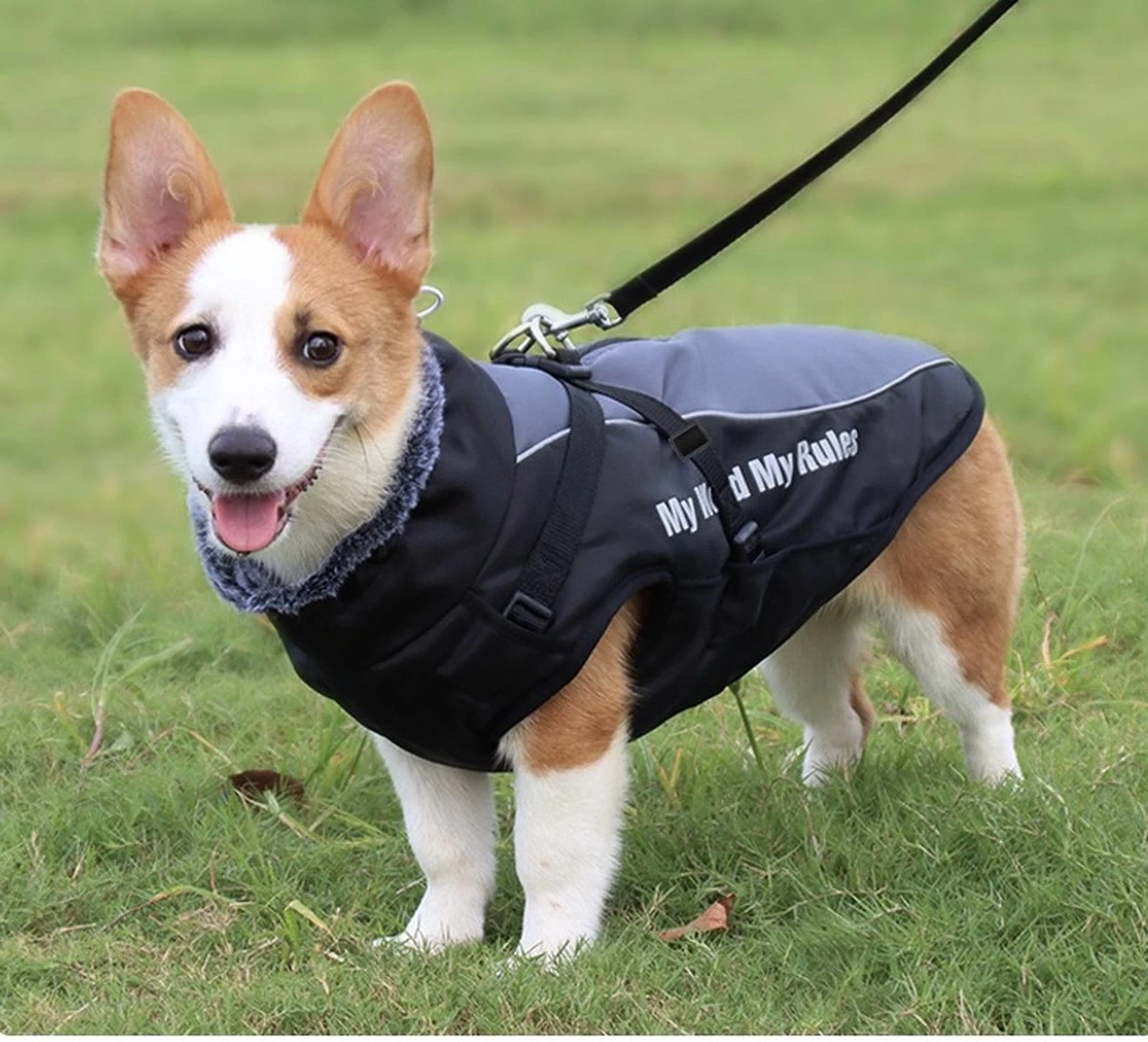 Nixnix - Honden Jas - Maat XXL - Hondenjas - Kleine Hond - Grote Hond - Waterafstotend - Gevoerd Met Rits - Warme Hondenjas - Afbeelding 9