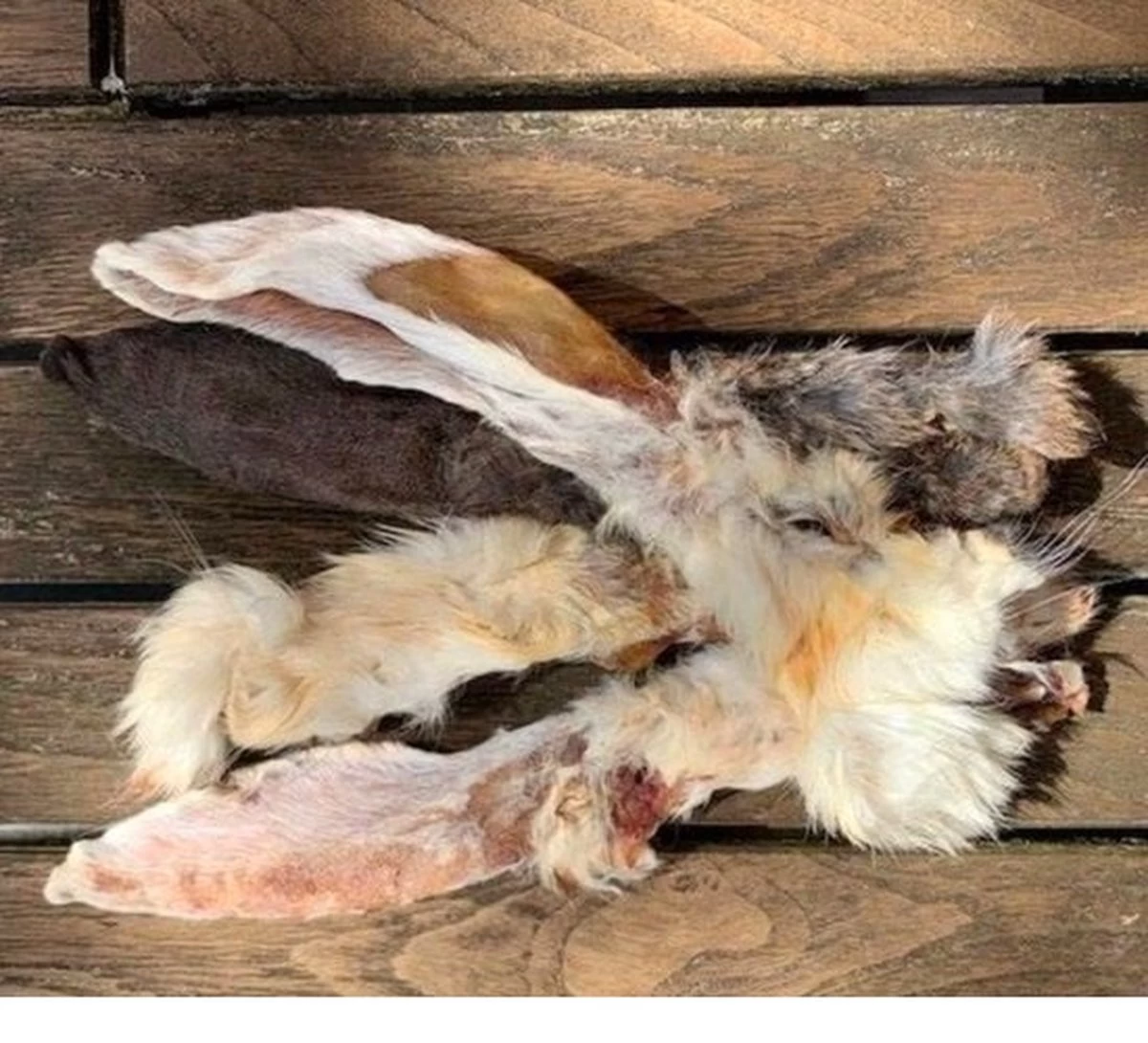 Merkloos Konijnenoren Met Haar - 2 X 1 Kg - 100% Natuurlijk - Afbeelding 2