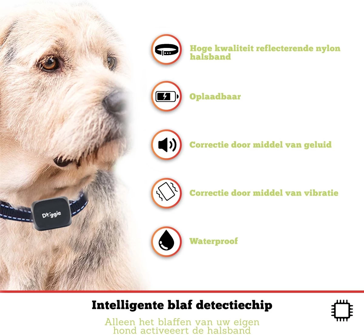 Doggie™ Anti Blafband Voor Kleine Honden - OPLAADBAAR - Vibratie én Geluid - Afbeelding 8