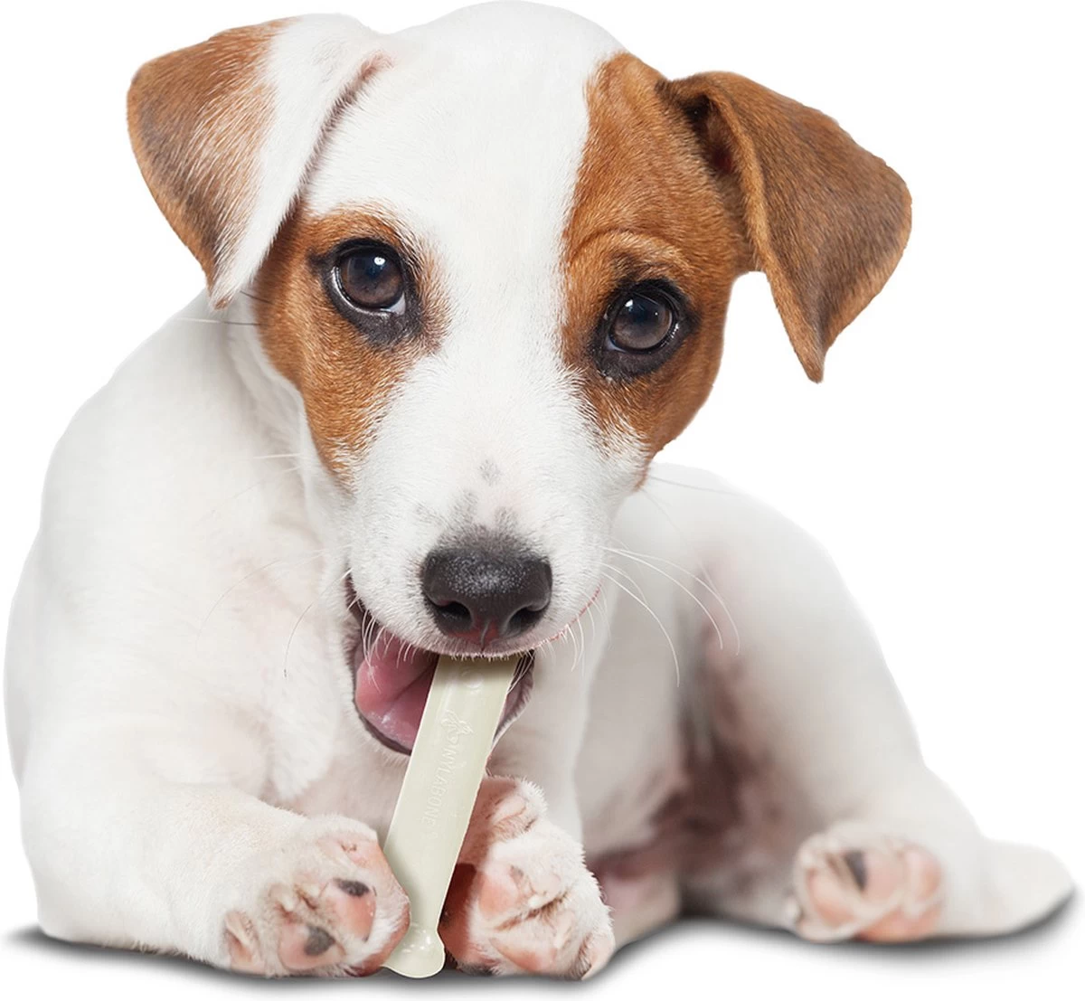 Nylabone Harde Bijters Kluif - Kip - Voor Honden Tot 15 Kg - Afbeelding 2