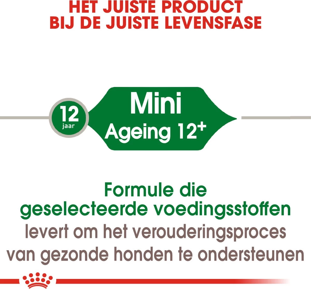 Royal Canin Mini Ageing 12+ - Hondenvoer - 3,5 Kg - Afbeelding 14