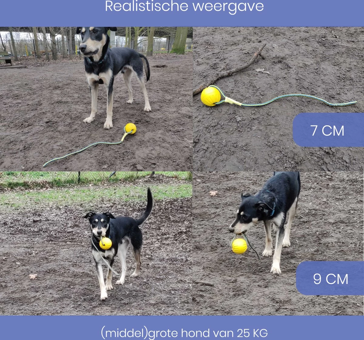 Leashr Honden Speelgoed - Bal Aan Touw - 2 Stuks - Touw - Koord - Kauwspeelgoed - Apporteer - Hond - 7 CM - Afbeelding 4