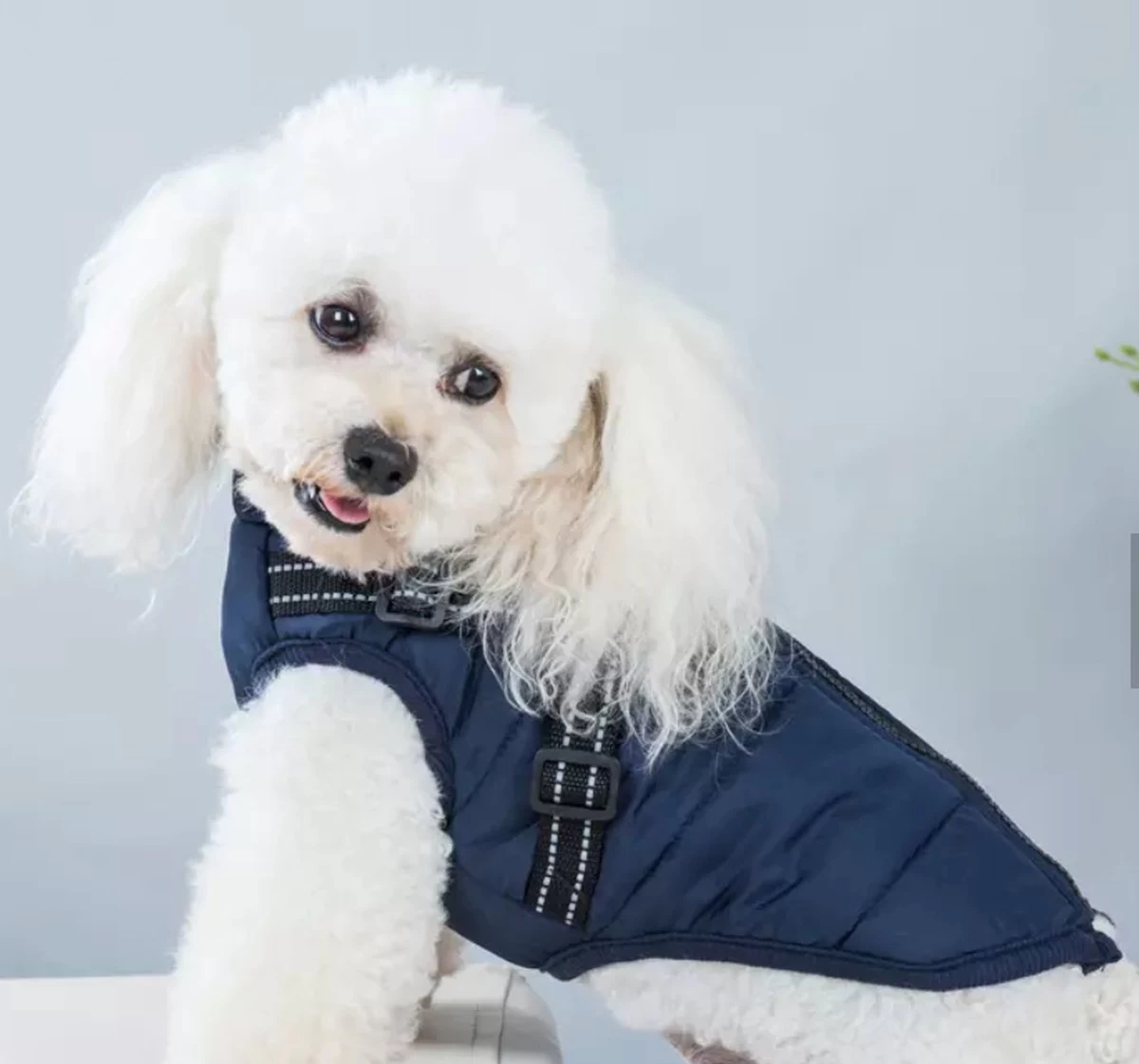 Dogs&Co Warme Hondenjas Navy Maat XL Ruglengte 36cm - Afbeelding 2