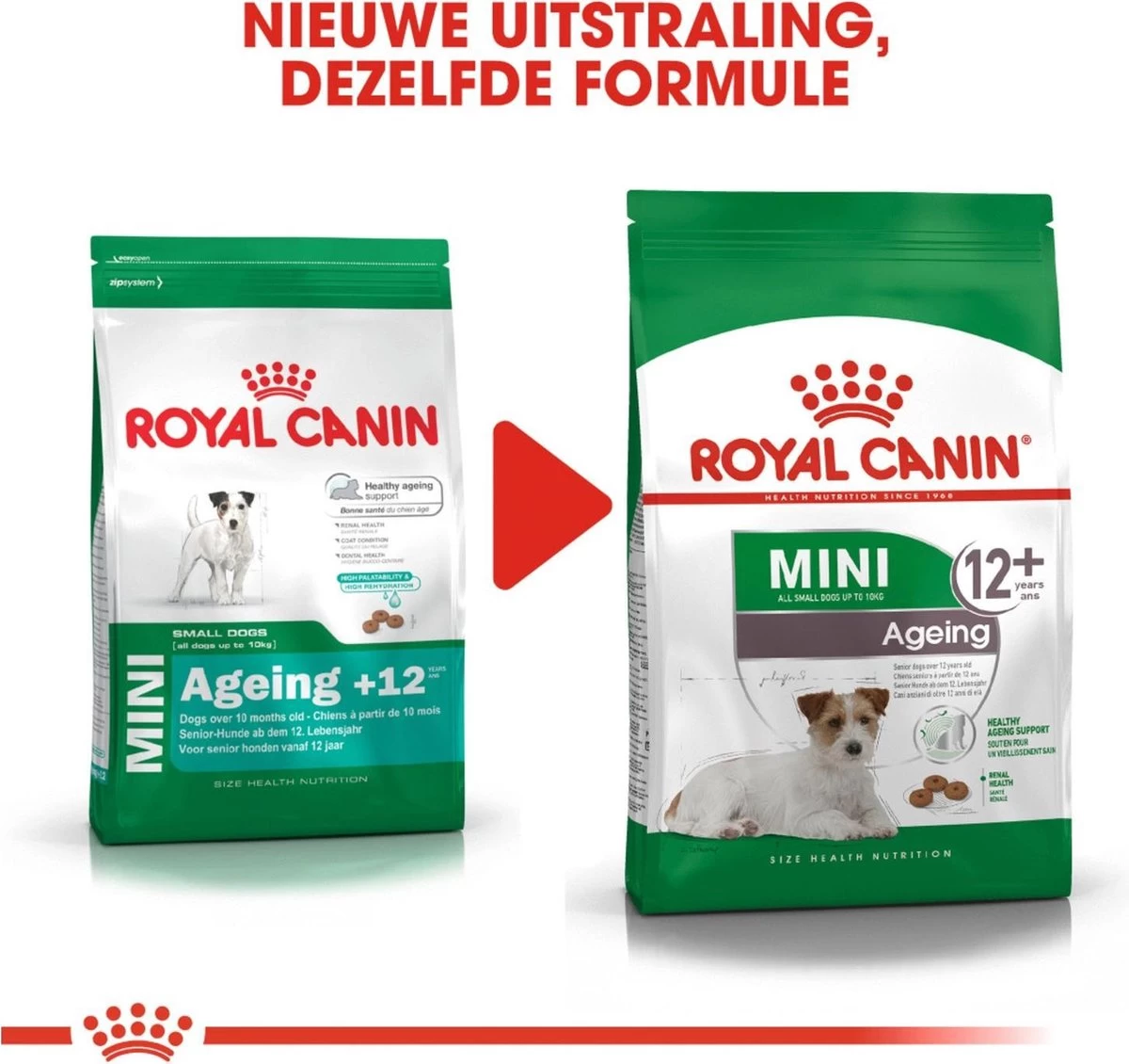 Royal Canin Mini Ageing 12+ - Hondenvoer - 3,5 Kg - Afbeelding 7