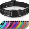 Halsband Hond - Reflecterend - Zwart - Maat M - Oersterk - Waterdicht - Hondenhalsband - Geschikt Voor Iedere Hondenriem - Voor Middelgrote Honden