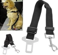 Honden Auto Riem - Auto Gordel Voor Dieren - Hondenriem - Autogordel - Veiligheidsgordel Voor Honden