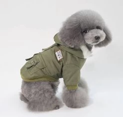 Db Hondenjas - Hondenkleding - Winterjas Hond - Gevoerd - Jassen - Winterkleding - Hondentrui - Hond - Groen