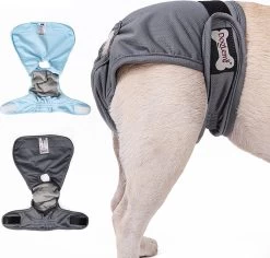 Loopsheidbroekje - Maat S - Grijs Hondenbroekje - Loopsheid - Diverse Maten - Voor Grote En Kleine Honden