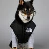 Db Hondenjas The Dog Fans - Hondenbodywarmer - Hondentrui - Hondenkleding - Dierenkleding - Honden Bodywarmer - Zwart