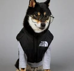Db Hondenjas The Dog Fans - Hondenbodywarmer - Hondentrui - Hondenkleding - Dierenkleding - Honden Bodywarmer - Zwart