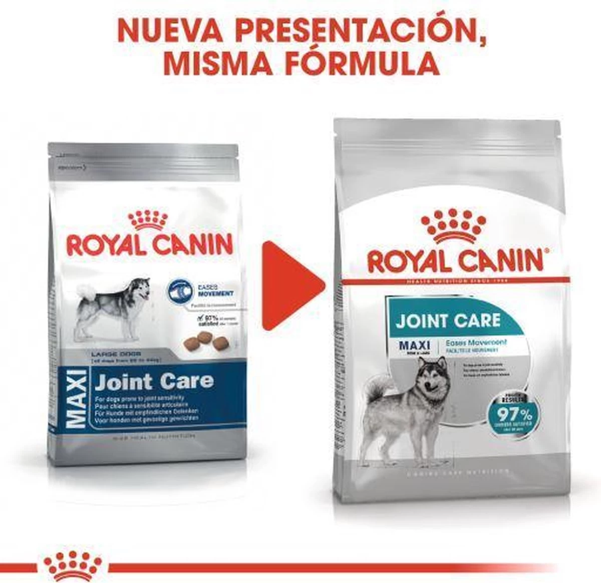 Royal Canin Ccn Joint Care Maxi - Hondenvoer - 10 Kg - Afbeelding 4