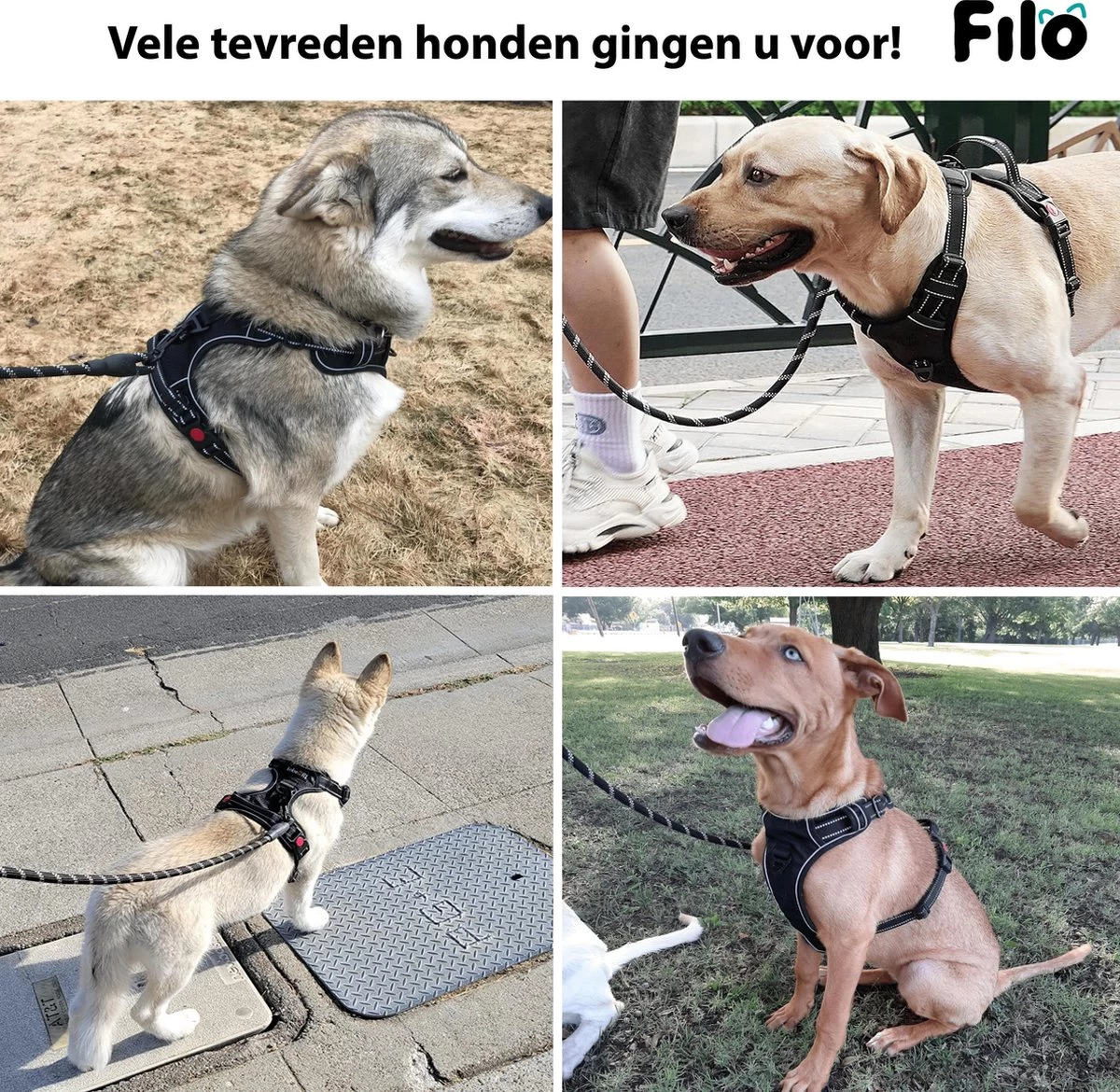 Filo Anti Trek Hondentuig S Met Hondenriem - Y Tuig Hond Verstelbaar - Hondentuigje Kleine Hond + Hondenlijn - Easy Walk Hondenharnas - Hondentuigjes - Leiband - Honden Tuigje - Puppy - Tuig - Hond - Afbeelding 5