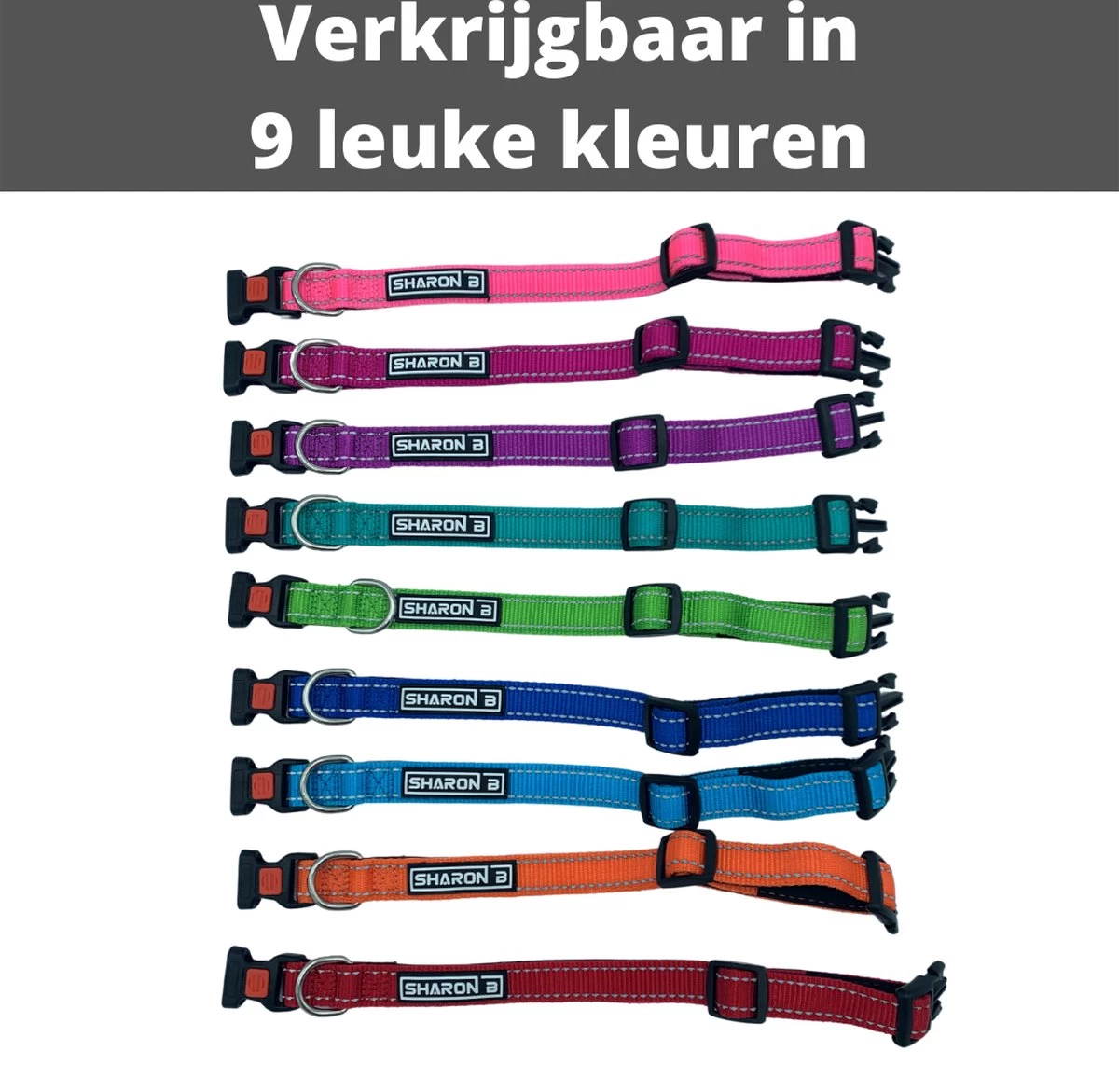 Halsband Hond - Reflecterend - Zwart - Maat M - Oersterk - Waterdicht - Hondenhalsband - Met Veiligheidssluiting - Geschikt Voor Iedere Hondenriem - Voor Middelgrote Honden - Afbeelding 8