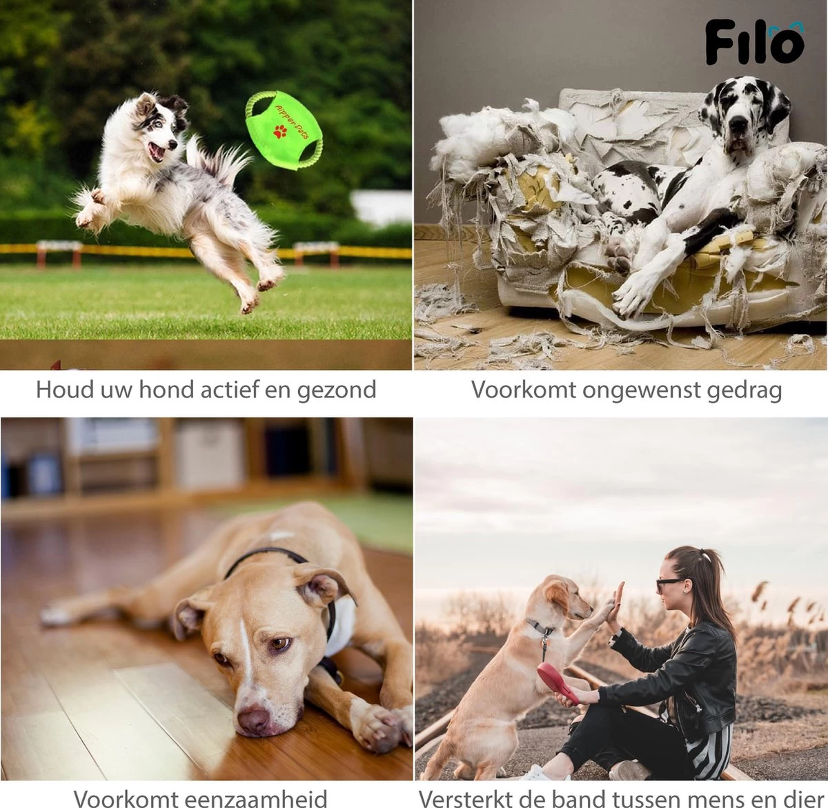 Filo Honden Speelgoed Set 14 Stuks - Hondenspeeltjes Knuffel - Hondenbal - Flostouw - Bot - Frisbee - Hondentouw - Hondenspeelgoed Intelligentie - Kauwspeelgoed Hond En Puppy - Bijtspeelgoed Hondenknuffel - Hondenspeeltje Met Piep - Afbeelding 6