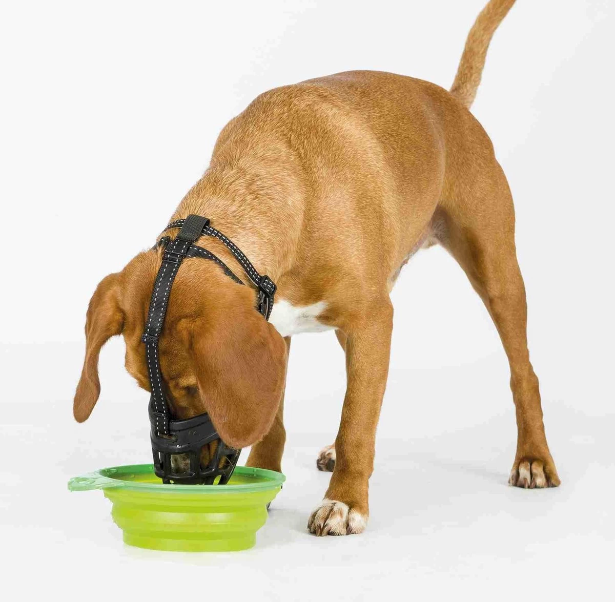 TRIXIE Honden Muilkorf Flex Maat L 17614 - Afbeelding 2