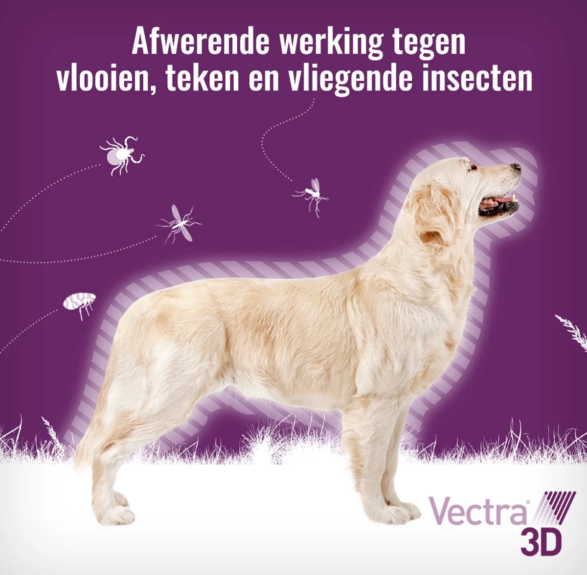 VECTRA 3D Hond - 25 Tot 40 Kg - Anti Vlooien- En Tekendruppels - 3 Pipetten - Afbeelding 3