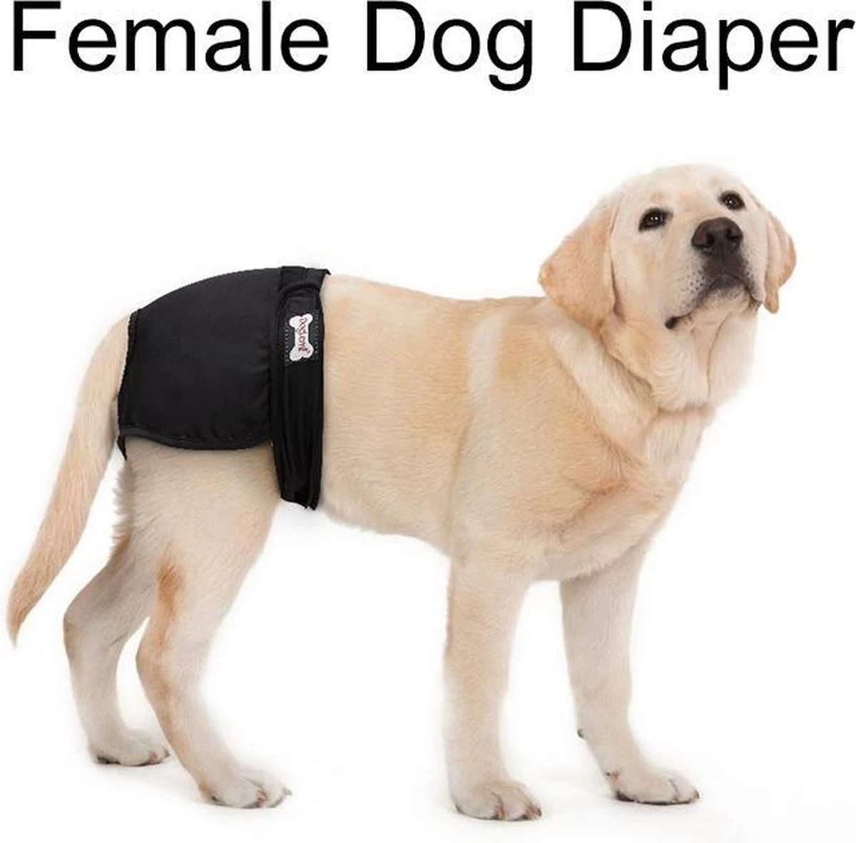 Loopsheidbroekje Hond - Zwart - Maat S - Hondenbroekje - Loopsheid Teef - Hondenluier - Wasbaar - Afbeelding 6