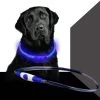 Led Dog Band USB | BEE SAFE -BLUE- | Dier Verlichting | Hondenband LED