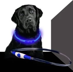 Led Dog Band USB | BEE SAFE -BLUE- | Dier Verlichting | Hondenband LED