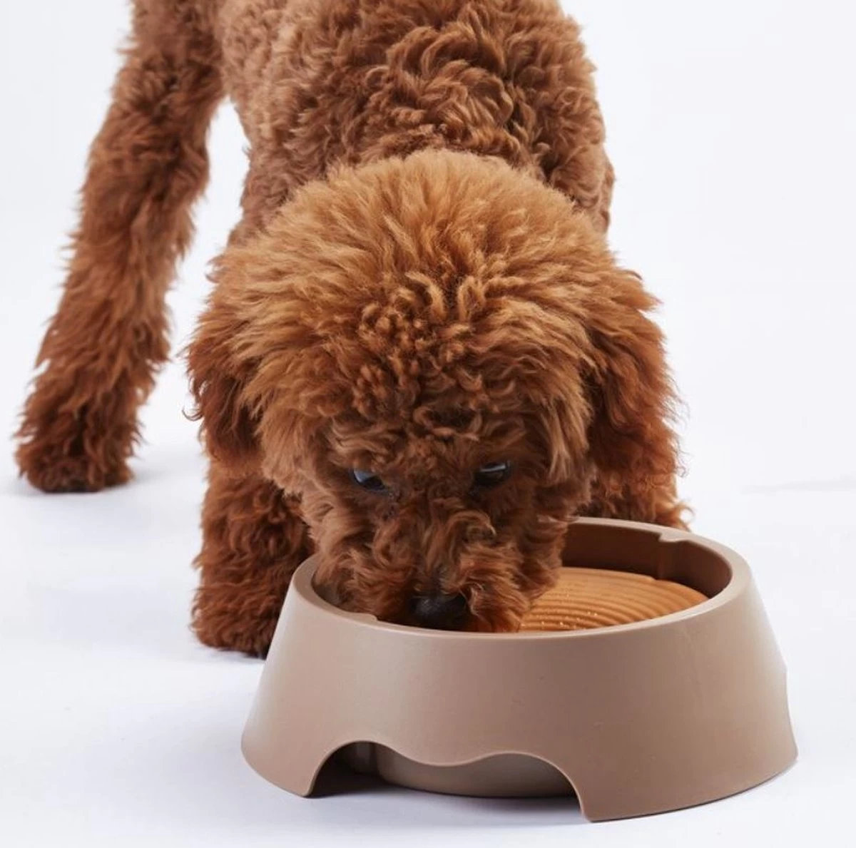 Merkloos Hondenbak - Drinkbak - Waterbak - Anti Lek - Anti Knoei - Onderweg - Anti Slobberen - Honden - Katten - Huisdieren - Zwart - Grijs - Hondenbakje - 100% Spatvrij - Afbeelding 3