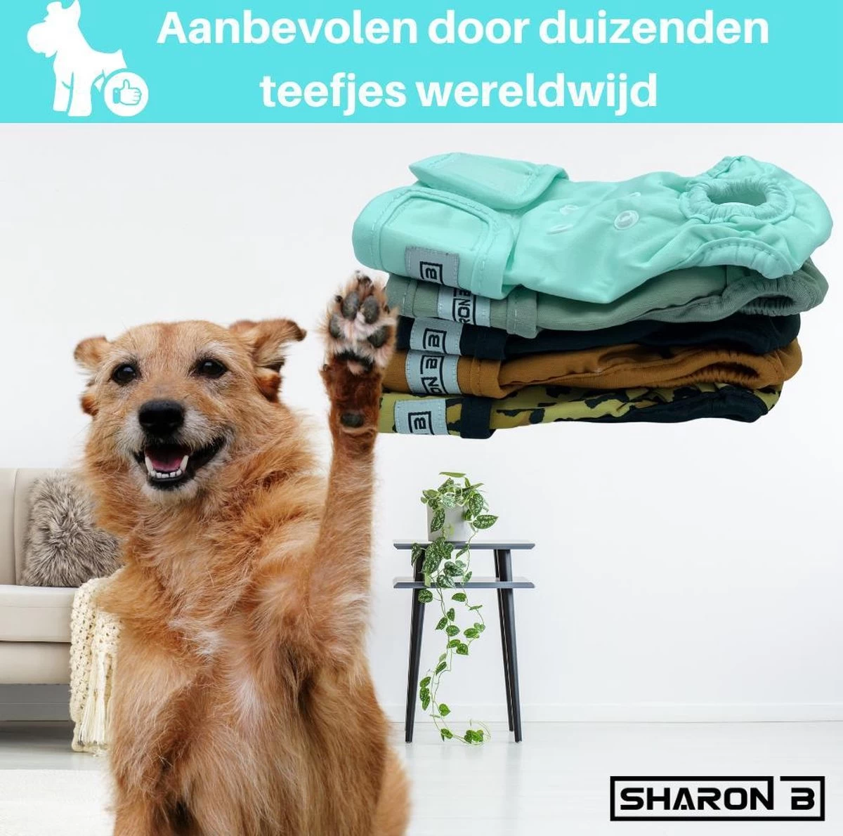 Loopsheidbroekje Hond - Bruin - Maat XL - Voor Grote Honden - Herbruikbaar - Hondenbroekje - Hondenluier - Loopsheid - Ongesteldheid - Voorkomt Ongewenste Zwangerschappen Bij Teefjes - Milieuvriendelijk - Verantwoord - Perfecte Pasvorm - Afbeelding 6