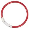 Merkloos Lichtgevende Honden Halsband Met Licht - LED Halsband USB Oplaadbaar - 50 Cm - Rood