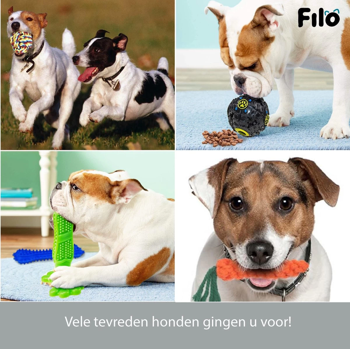 Filo Honden Speelgoed Set 14 Stuks - Hondenspeeltjes Knuffel - Hondenbal - Flostouw - Bot - Frisbee - Hondentouw - Hondenspeelgoed Intelligentie - Kauwspeelgoed Hond En Puppy - Bijtspeelgoed Hondenknuffel - Hondenspeeltje Met Piep - Afbeelding 5