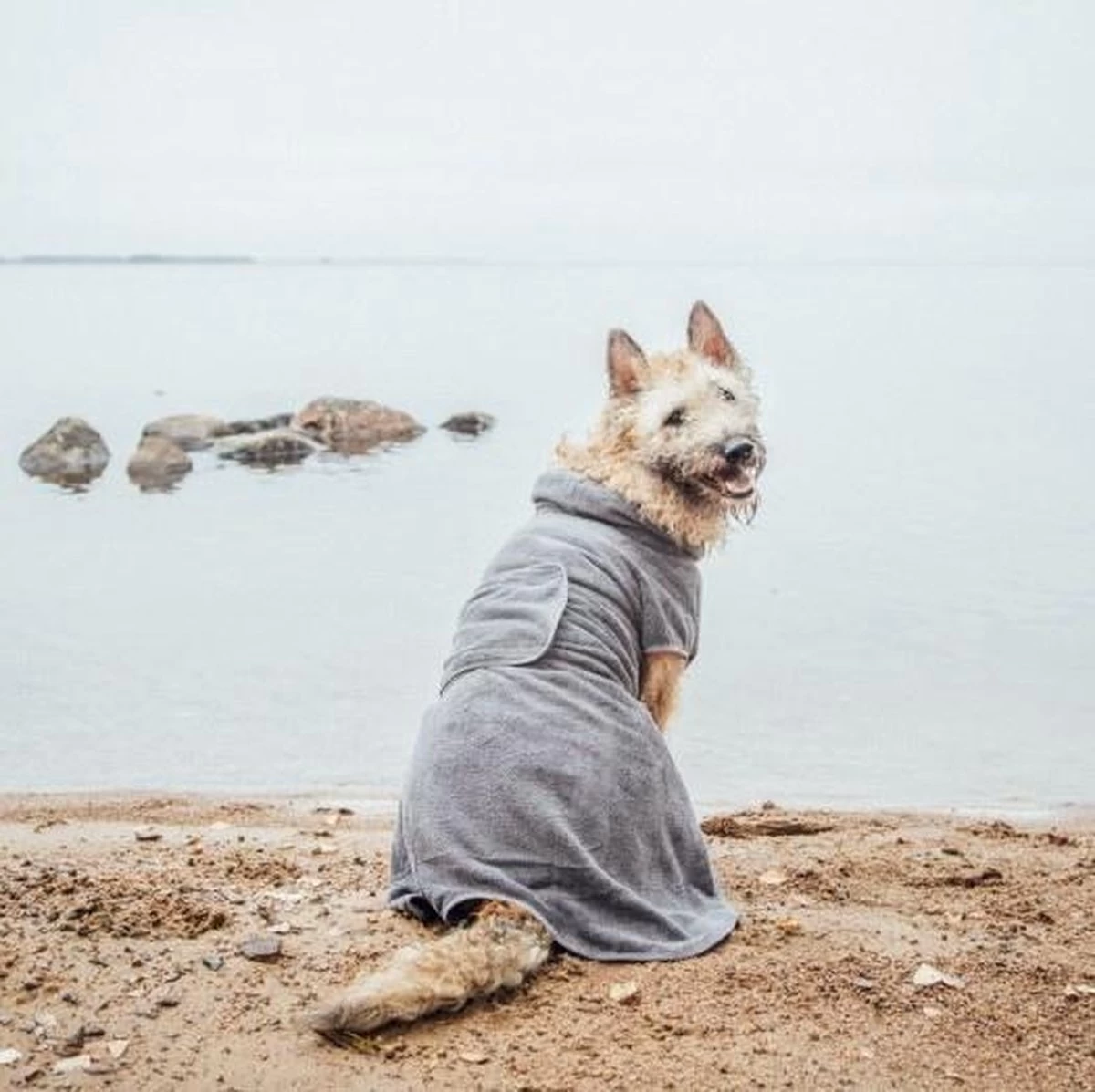 Rukka Pets Micro Light Badjas - Lichtgewicht - Microvezel - Sterk Absorberend - Maat L - Afbeelding 7